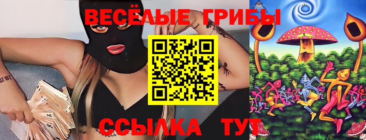 Псилоцибиновые грибы GOLDEN TEACHER  Псилоцибиновые грибы прущие грибы  хочу   Вход с VPN  Дятьково 
