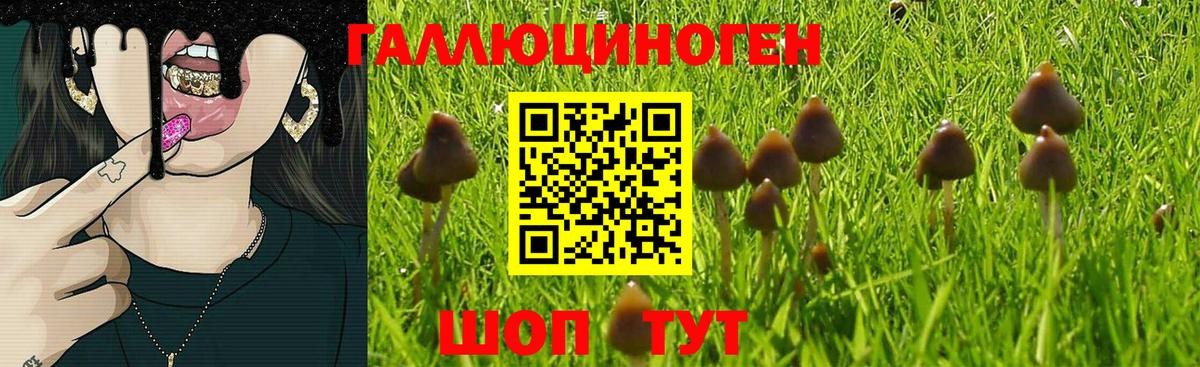 Галлюциногенные грибы мицелий Дятьково